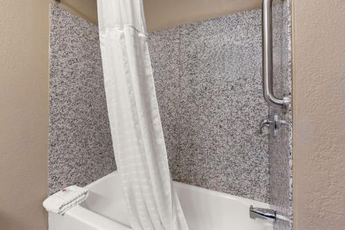 Comfort Inn & Suites Springfield I-55 - image 11