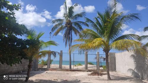 LA CHOZITA DEL MAR in Celestún, Mexico