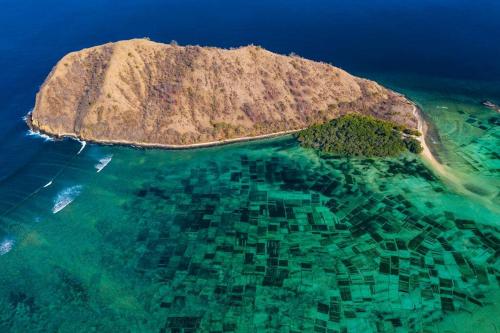 Beach-Front Sumbawa Surf House