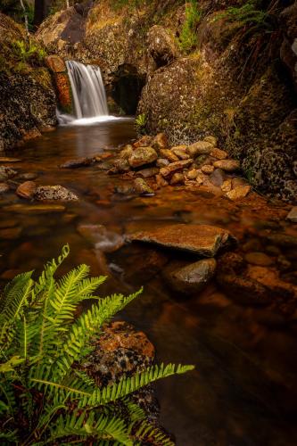 Omgeving, The Gardener's Cottage on Warrentinna in Prospect Vale