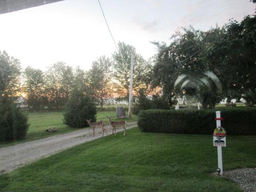 Gîte Les Acres Tranquilles B&B