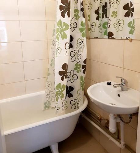Bright spacious apartment with street parking, Ryga (zdjęcie 10)