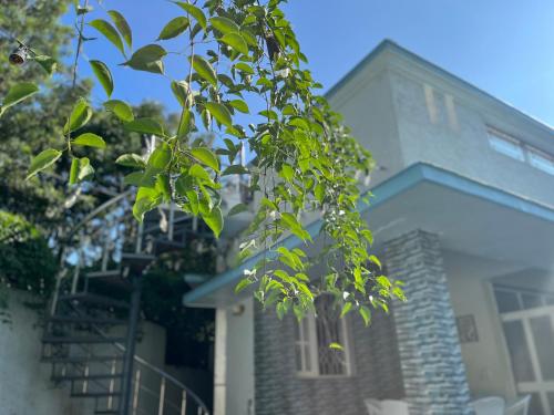 Exterior view, AruBhi Cottage in Jhajra