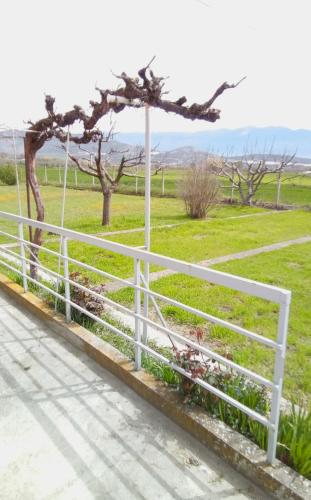 EvropisHouse 2, Kozani (fotografie 3)