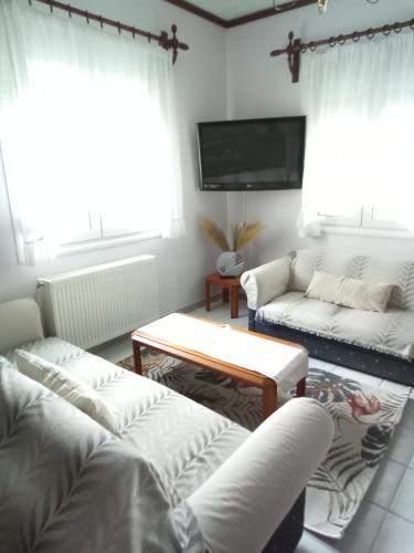 EvropisHouse 2, Kozani (fotografie 6)