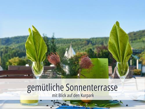 Hotel Am Kurhaus mit erstem Ayurveda Center Sachsens - direkt am Gesundheitsbad ACTINON & Kurpark