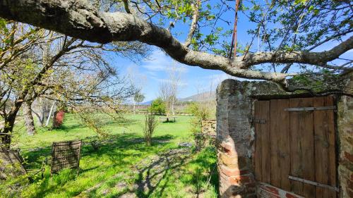 Casale Alcinoo - Rustico