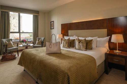 Trim Castle Hotel - image 10