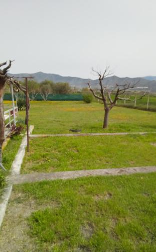 EvropisHouse 2, Kozani (fotografie 8)