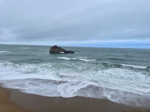 Fantastic Ocean View - Location saisonnière - Biarritz