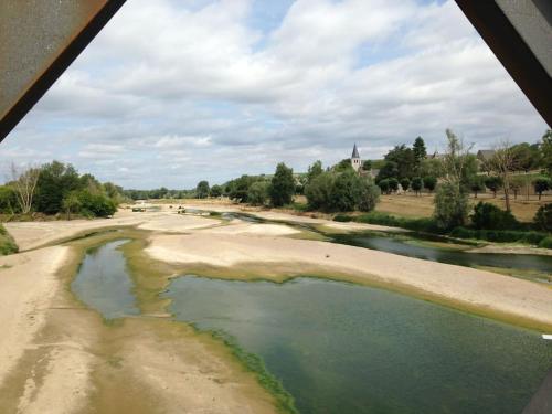 La vigne et la Loire