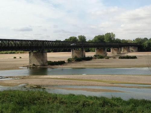 La vigne et la Loire