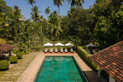 Uga Riva - Negombo, Negombo (foto 9)