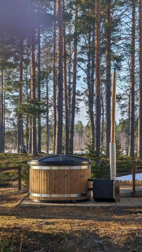 Matkailukeskus Lossisaari - image 4