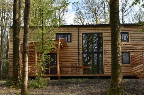 Gite cocon dans la forêt gîte à louer La Quersinelle