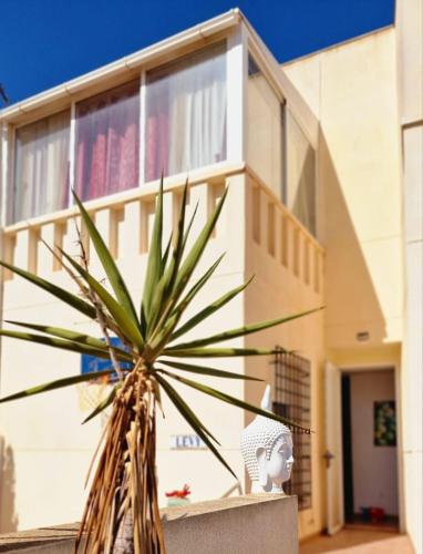 Flamingo Vila Alicante