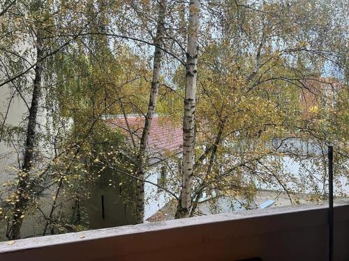 Gemütliche Wohnung in TOP Lage Hannover City, Hanower (zdjęcie 9)