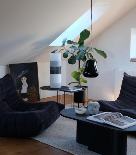 Design Apartments Hier war Goethe nie - image 2