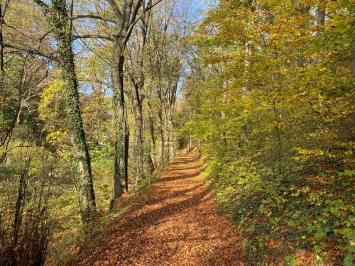 Ferienwohnung am Schlossberg in der Burgstadt Ranis