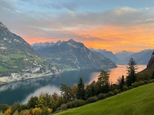 LakeHill72 in Seelisberg