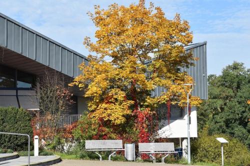 Ferienwohnung Blick zur Therme 4103