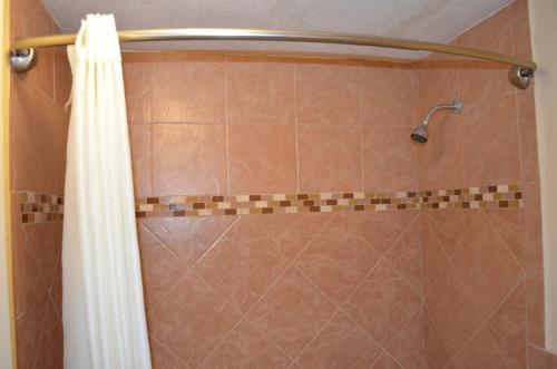 Royal Inn Greenville - image 9