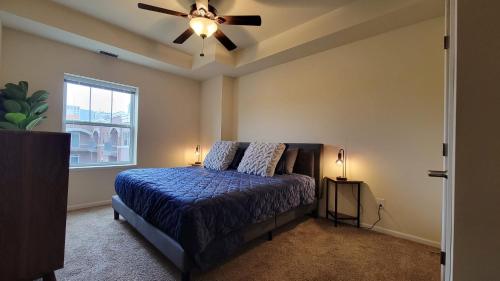 Free Parking, New Apartment, Steps From Mayo! Free Parking, New Apartment, Steps From Mayo!