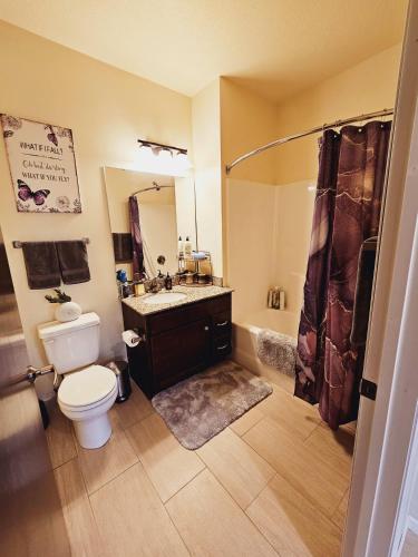 Free Parking, New Apartment, Steps From Mayo! Free Parking, New Apartment, Steps From Mayo!