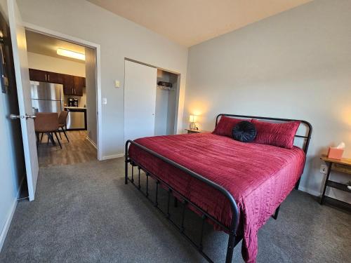 HUGE Apartment, 2 Bedroom, 2 Bathroom, Park Free in Rochester, USA