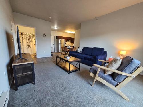 HUGE Apartment, 2 Bedroom, 2 Bathroom, Park Free in Rochester, USA