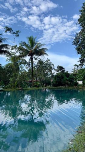 景觀, Mineral River Eco Village in 林孔德拉別哈