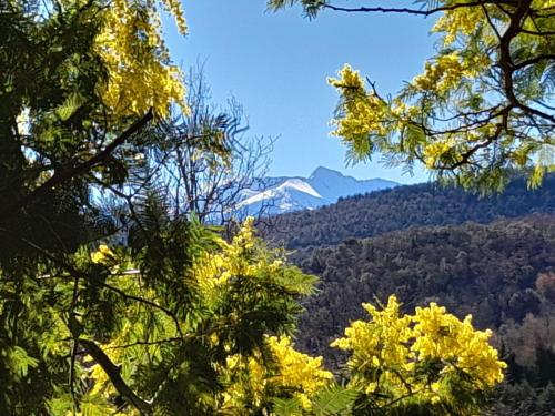 DOMAINE St GEORGES gîte à louer Mosset
