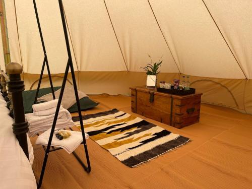 Dartmoor Halfway Campsite in Newton Abbot