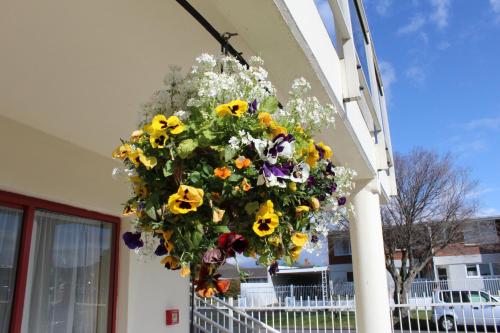 BK's Rotorua Motor Lodge
