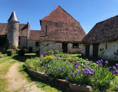 Le Petit Donjon at Chateau Mareuil - Apartment - Brigueil-le-Chantre