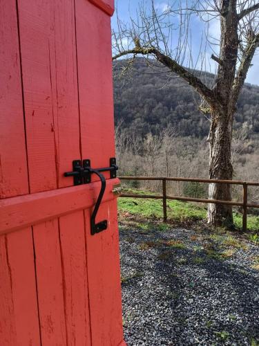 O Salgueiral O Salgueiral