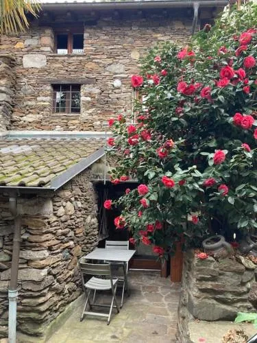 Come stay in our Little Nest in Brissago, Schweiz