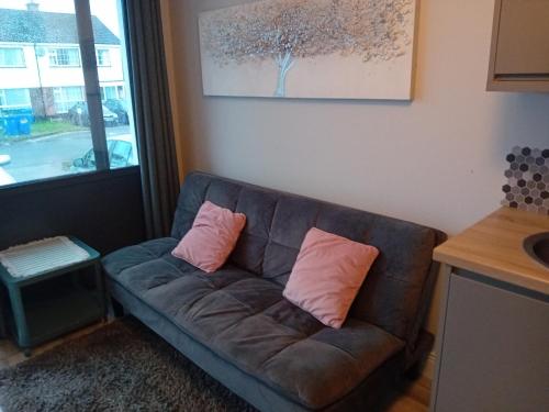 Compact one bed apartment near University of Limerick