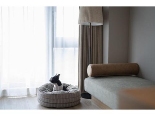 Pet Friendly HOTEL FARO Manazuru - Vacation STAY 43000v