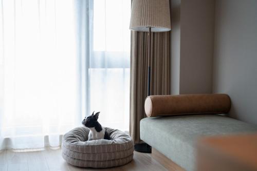 1 queen bed, 1 sofa bed