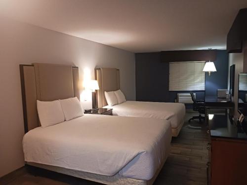 Suite, deluxe