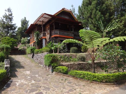 Villa Hadea Kayu