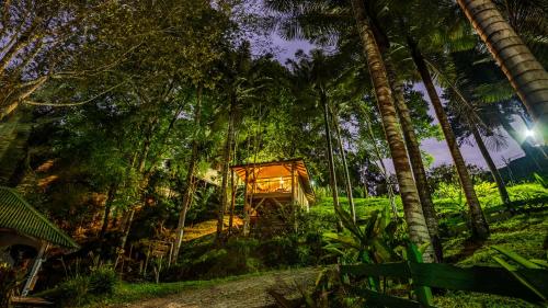 548581734 Hotel Kawa Mountain Retreat