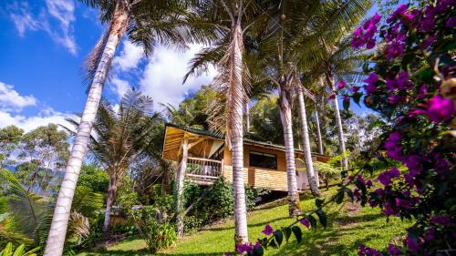 548582047 Hotel Kawa Mountain Retreat