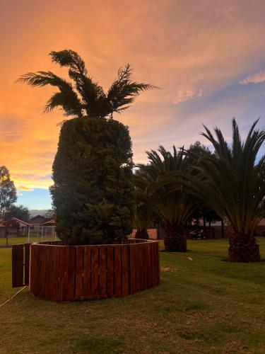 Garden, Minkana Hotel in Guano