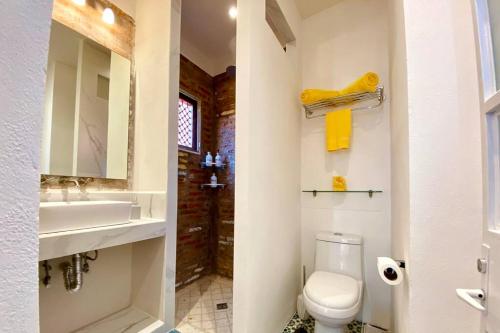 Casa La Luz #2 Private One- bedroom Apartment with Full Kitchen and Private Roof Terrace in San Miguel de Allende, Mexico