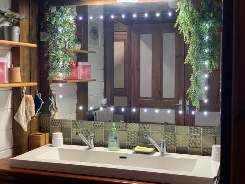 Les ilets caraibes vue mer in Bouillante