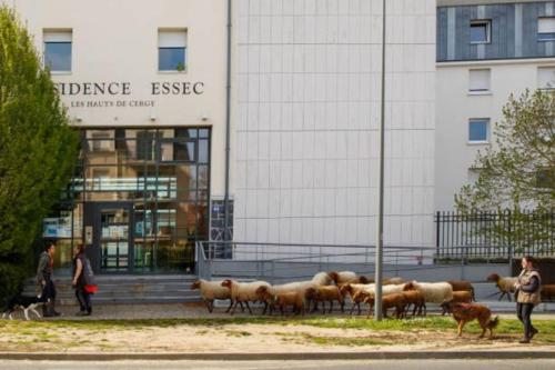 La Tanière du Port de Cergy Préfecture-ESSEC