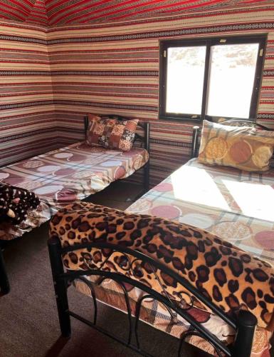 3 twin beds