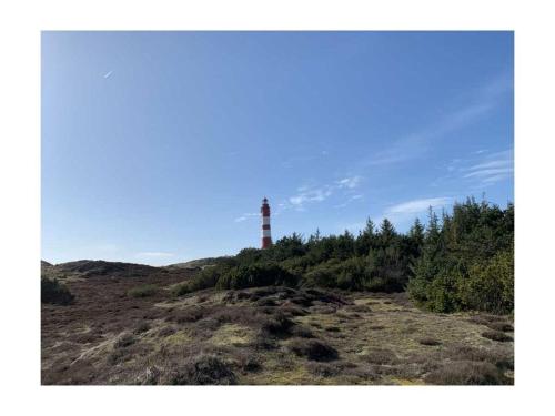 "Sea Eagle" in the house on the dune